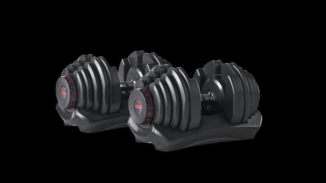 BowFlex SelectTech 1090 Adjustable Dumbbells